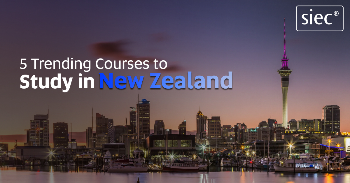 5 Trending Courses to Study in New Zealand